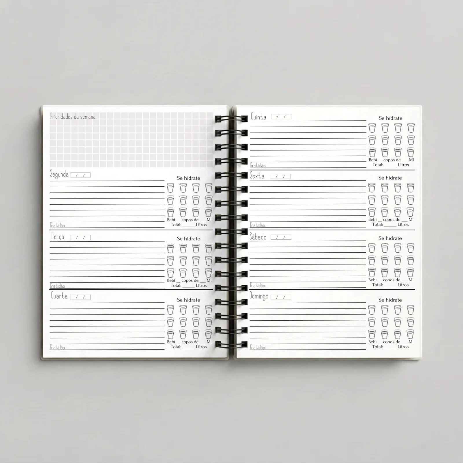 Planner Strategy – Preto com Dourado, páginas internas